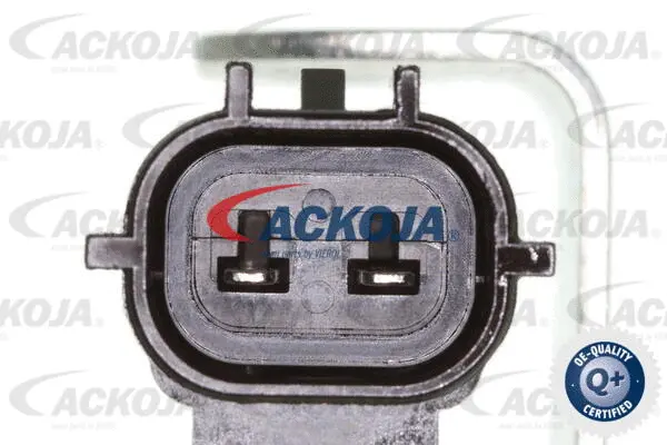 Control Valve, camshaft adjustment