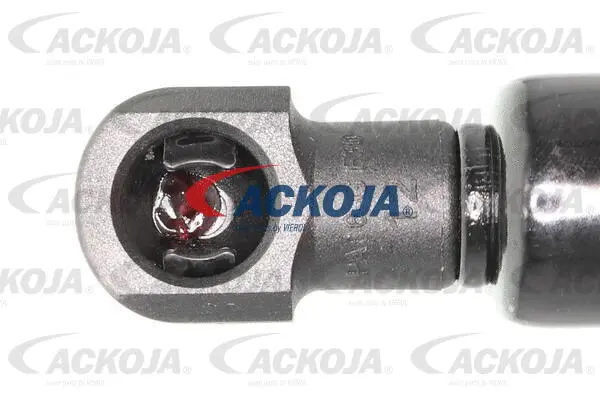 Gas Spring, boot/cargo area