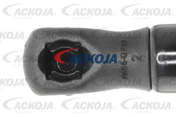 Gas Spring, boot/cargo area