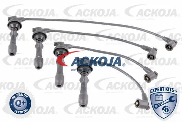 Ignition Cable Kit