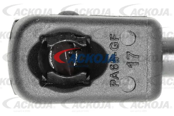 Gas Spring, boot/cargo area