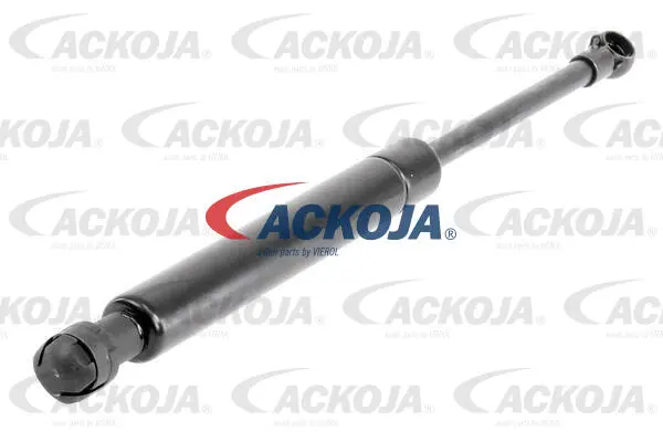Gas Spring, boot/cargo area