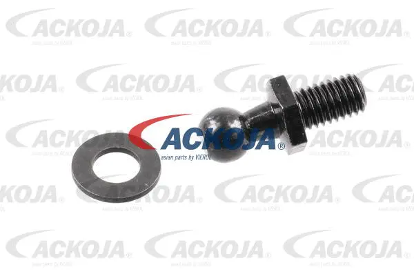 Gas Spring, boot/cargo area