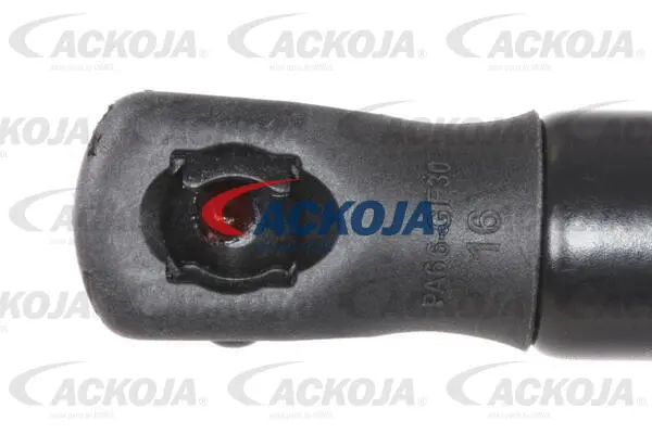 Gas Spring, boot/cargo area