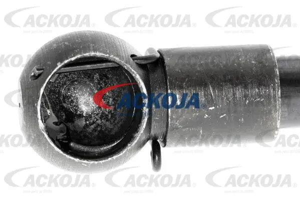 Gas Spring, boot/cargo area