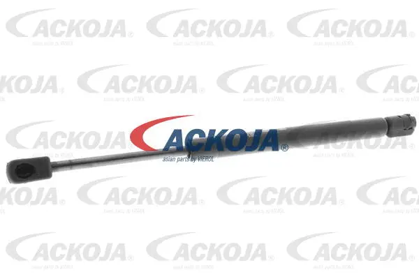 Gas Spring, boot/cargo area