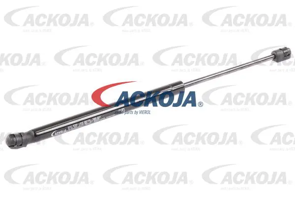 Gas Spring, boot/cargo area