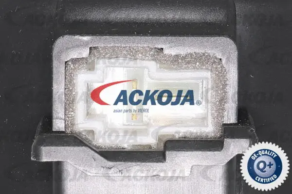 Interior Blower