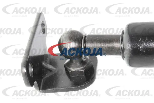 Gas Spring, boot/cargo area