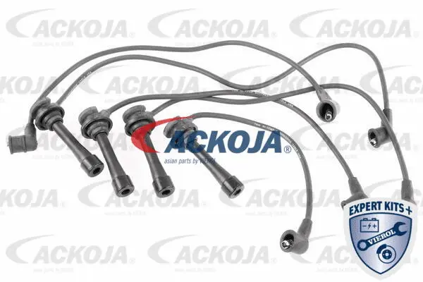 Ignition Cable Kit