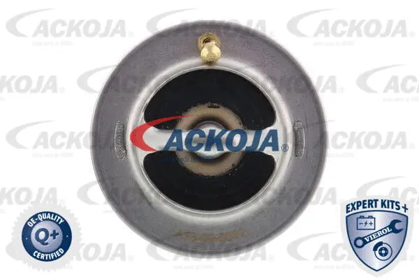 Thermostat, coolant