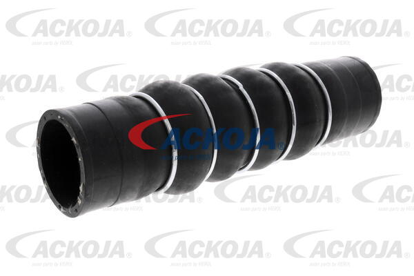 Charge Air Hose