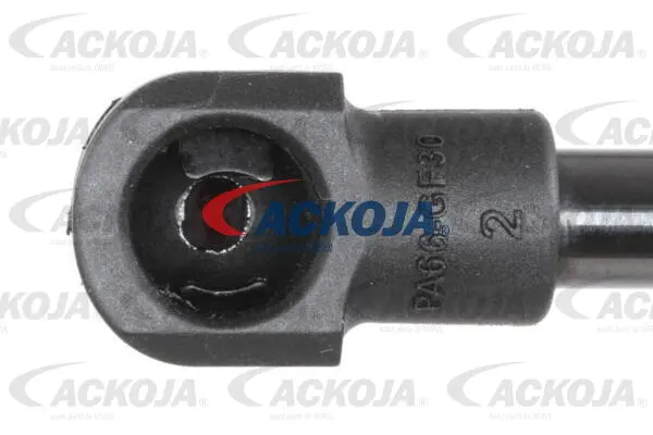 Gas Spring, boot/cargo area