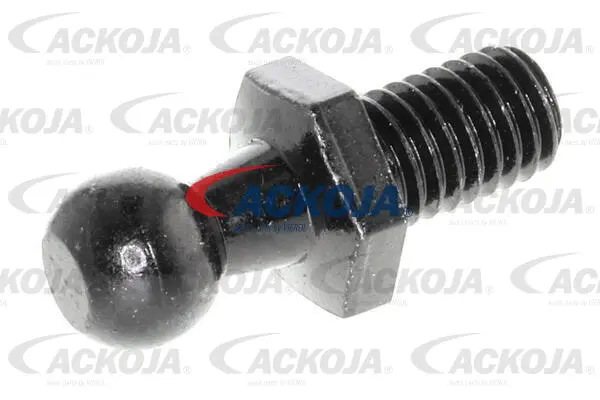 Gas Spring, boot/cargo area