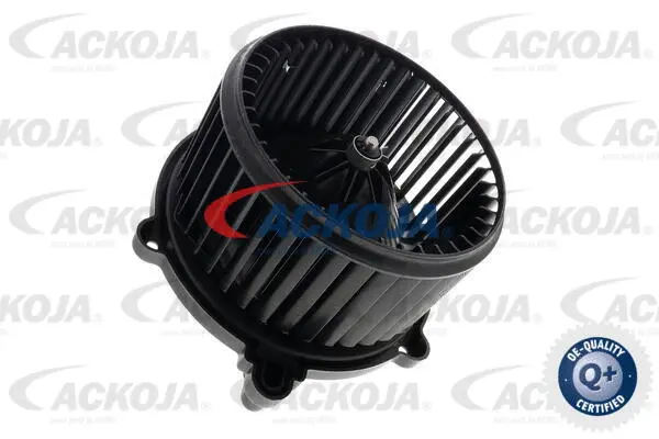 Interior Blower