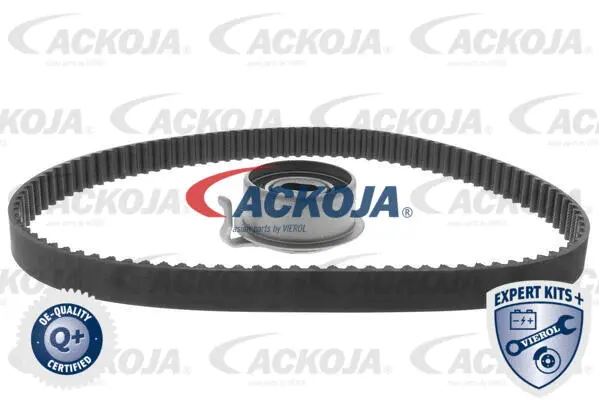 Timing Belt Kit