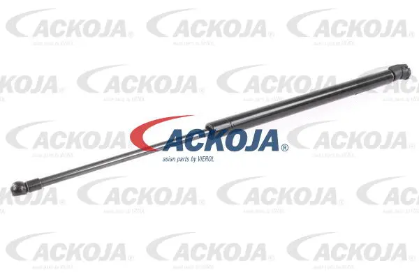 Gas Spring, boot/cargo area