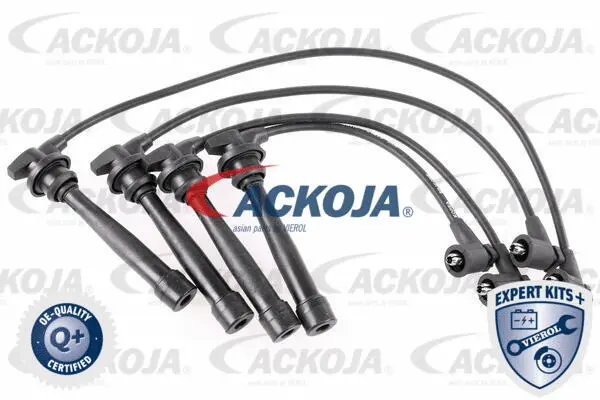 Ignition Cable Kit