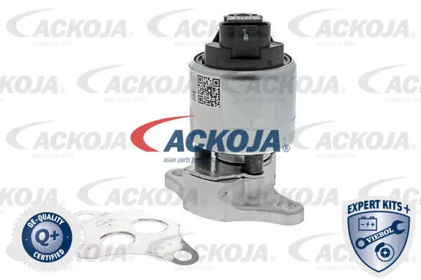 EGR Valve