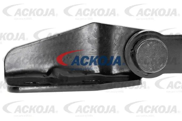 Gas Spring, boot/cargo area