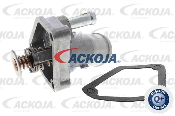 Thermostat, coolant
