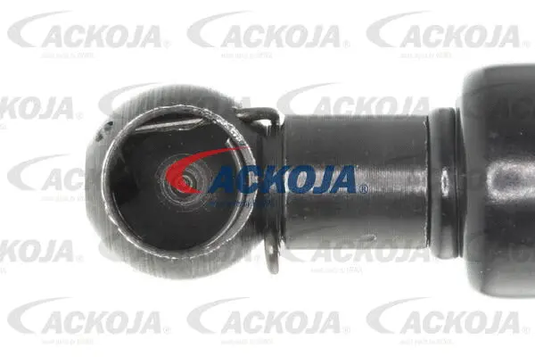 Gas Spring, boot/cargo area