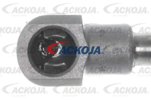 Gas Spring, boot/cargo area