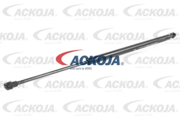 Gas Spring, boot/cargo area
