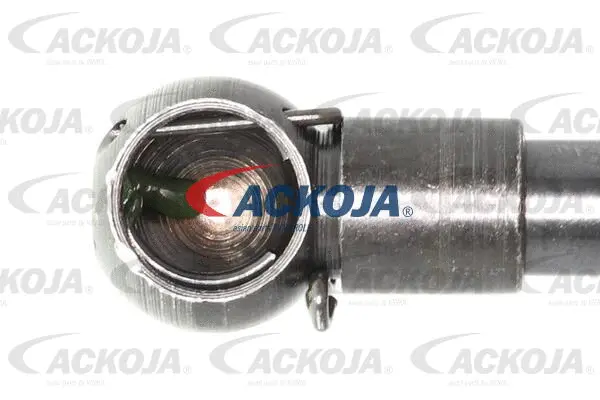 Gas Spring, boot/cargo area