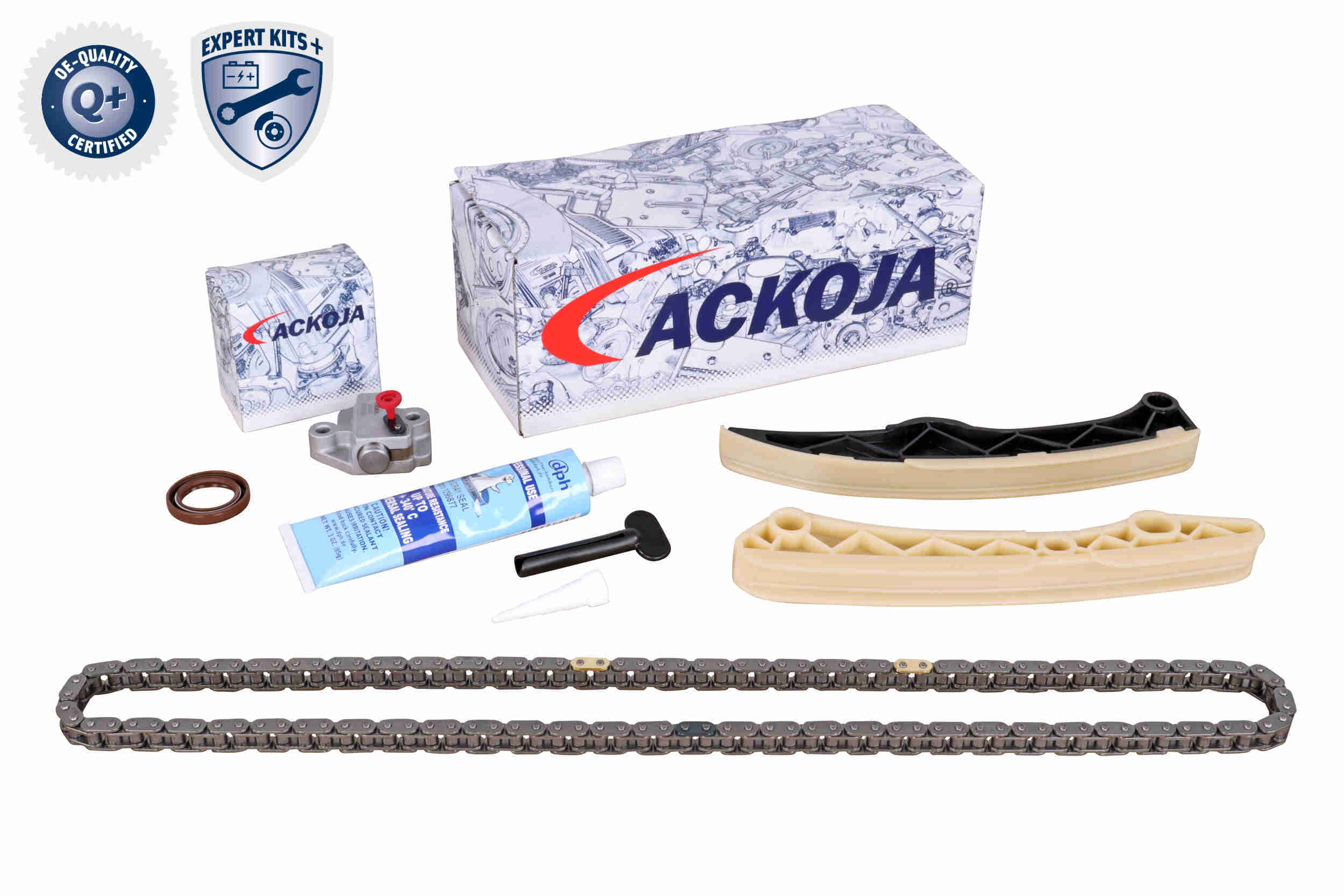 Timing Chain Kit
