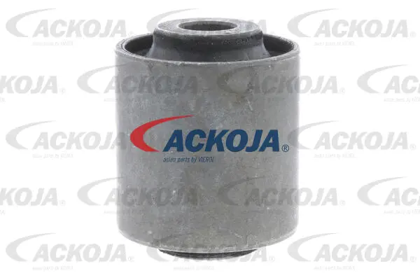 Mounting, control/trailing arm