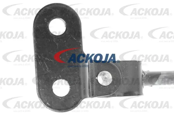 Gas Spring, boot/cargo area