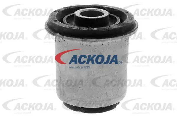 Mounting, control/trailing arm