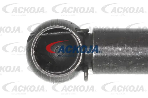 Gas Spring, boot/cargo area