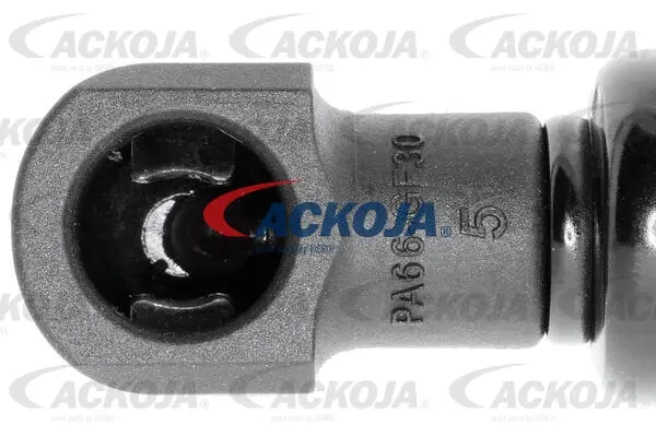 Gas Spring, boot/cargo area