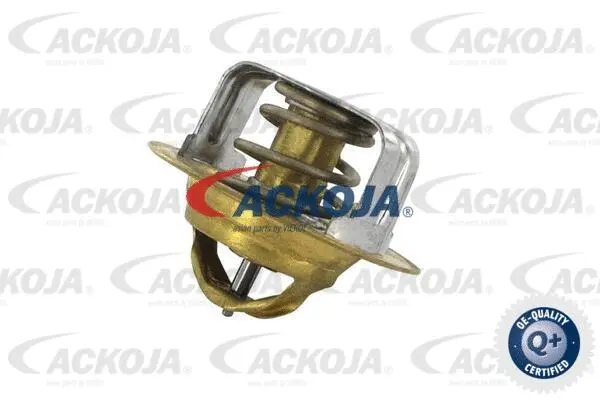 Thermostat, coolant