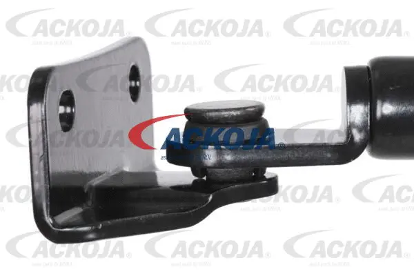 Gas Spring, boot/cargo area