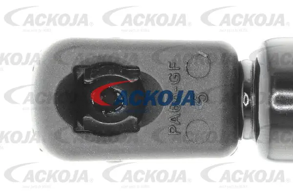 Gas Spring, boot/cargo area