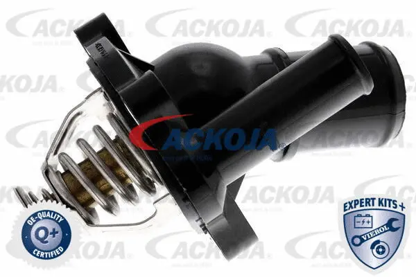 Thermostat, coolant