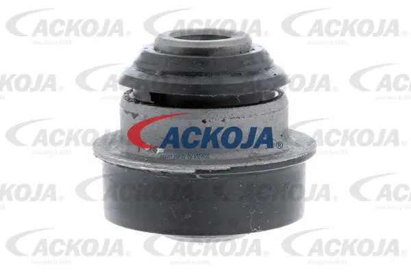 Mounting, control/trailing arm