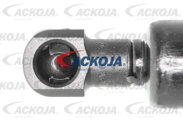 Gas Spring, boot/cargo area