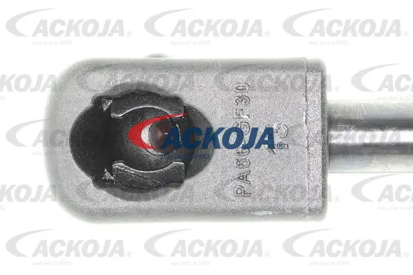 Gas Spring, boot/cargo area