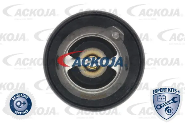 Thermostat, coolant