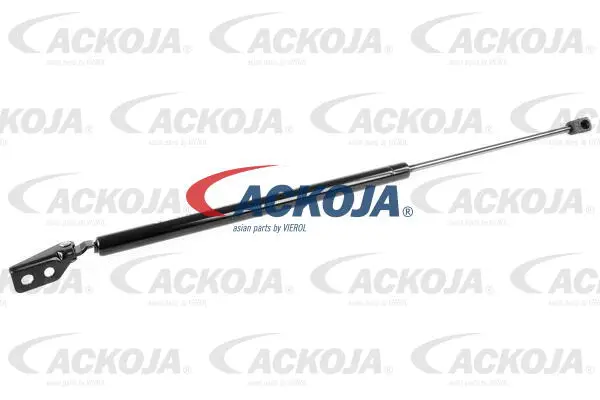 Gas Spring, boot/cargo area