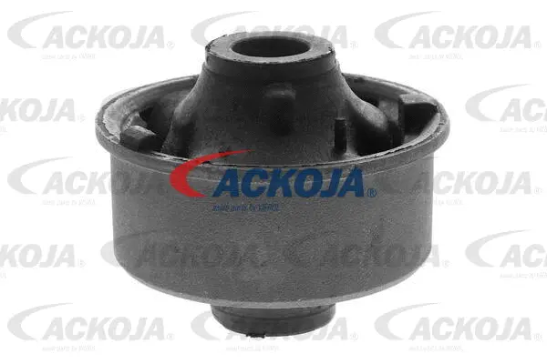 Mounting, control/trailing arm