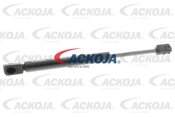 Gas Spring, boot/cargo area