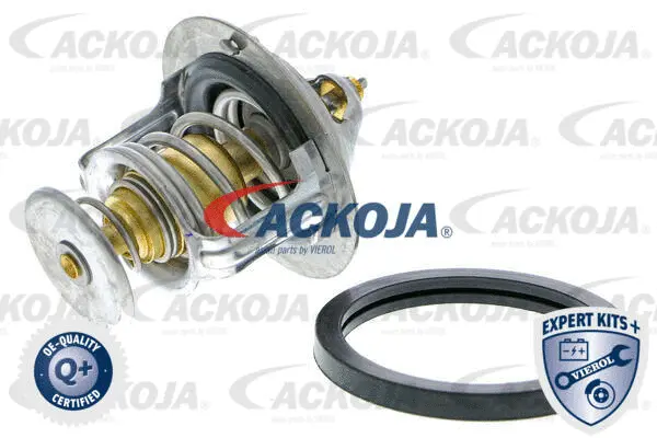 Thermostat, coolant