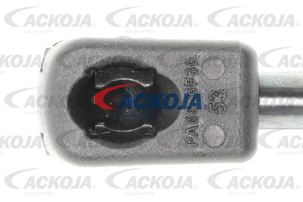 Gas Spring, boot/cargo area