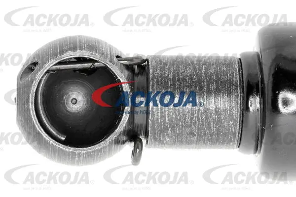 Gas Spring, boot/cargo area