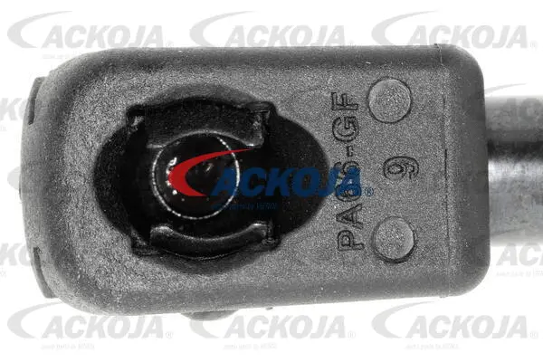 Gas Spring, boot/cargo area